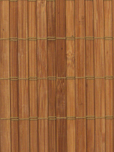 bambusa panelis